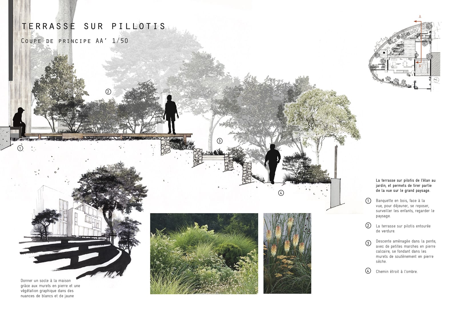 coupe Esquisse Jardin pente perché pillotis terrasse muret soutainement ®hermelinecarpentier