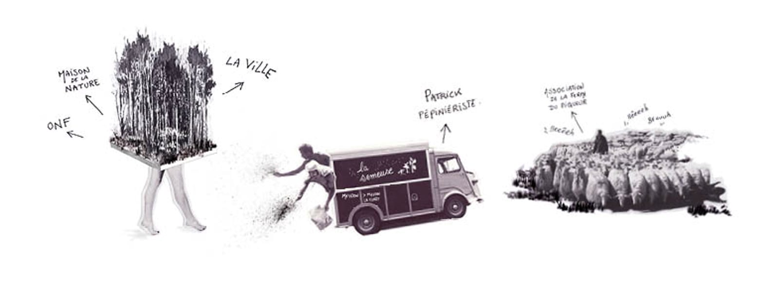 illustration PPLU habiter la foret®HermelineCarpentier