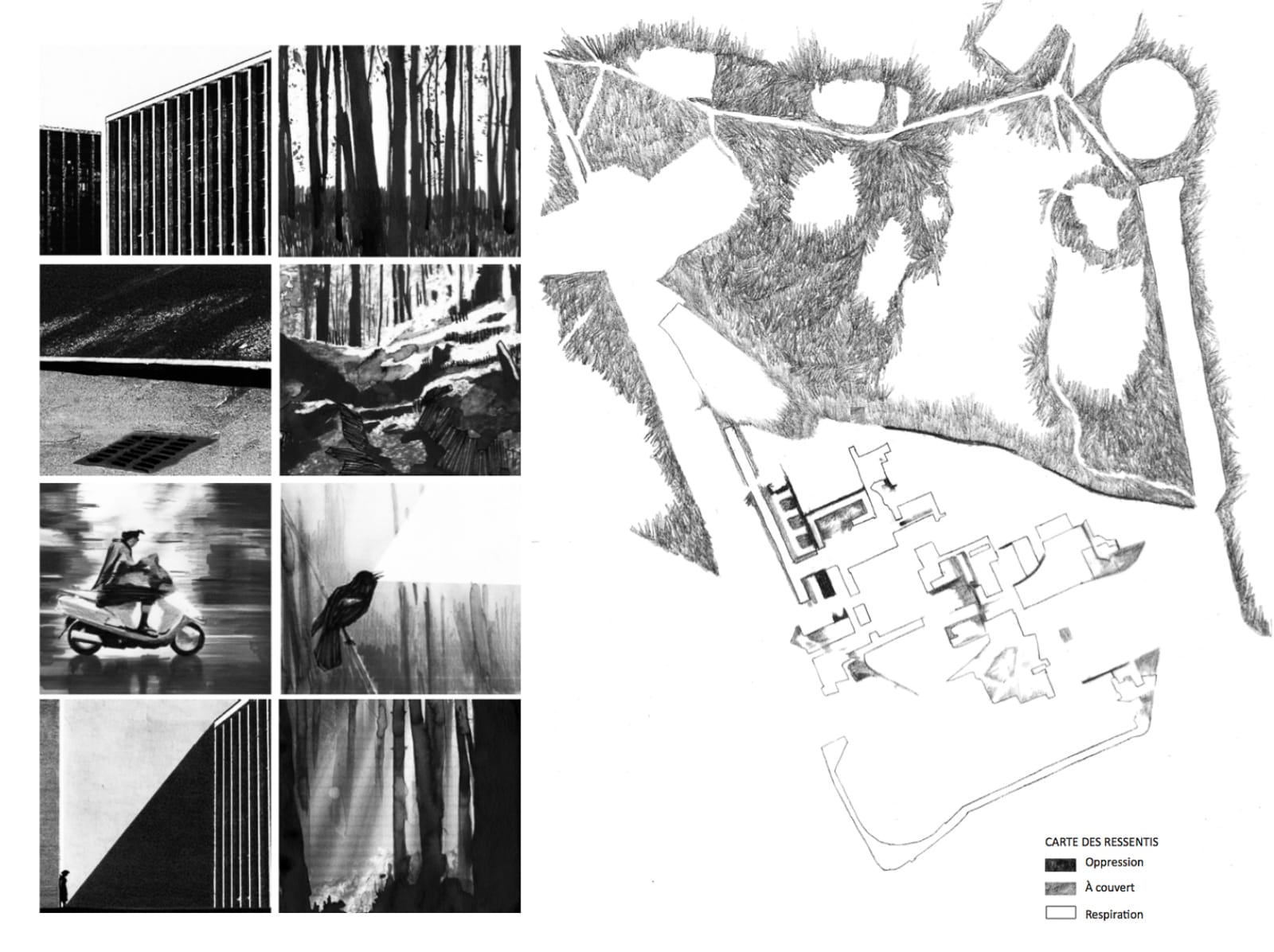Ville vs forêt PPLU habiter la foret®HermelineCarpentier