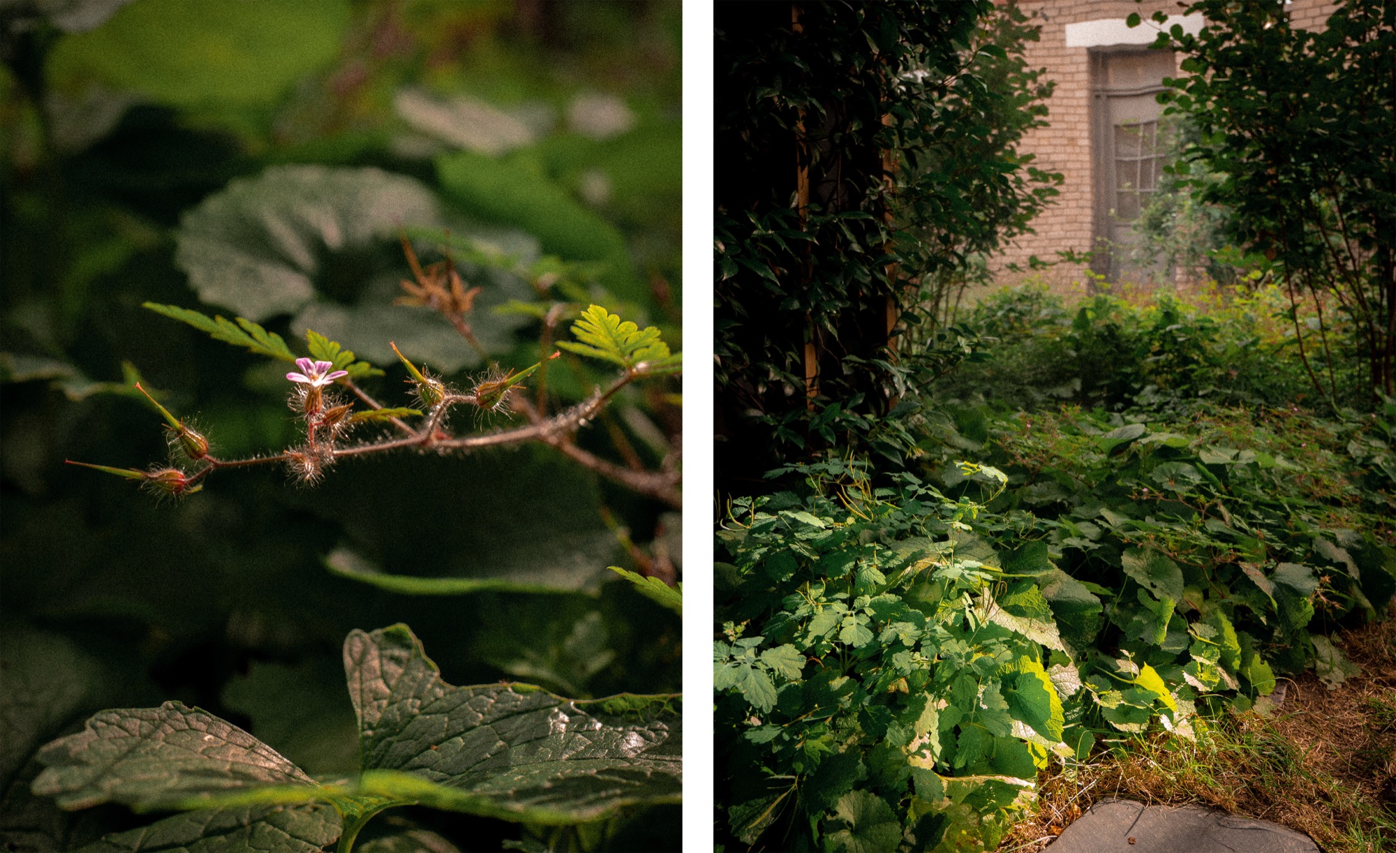 02_Jardin-infini-à-chatillon-Paysagiste-Hermeline-Carpentier-©photo-Anthony-Marques