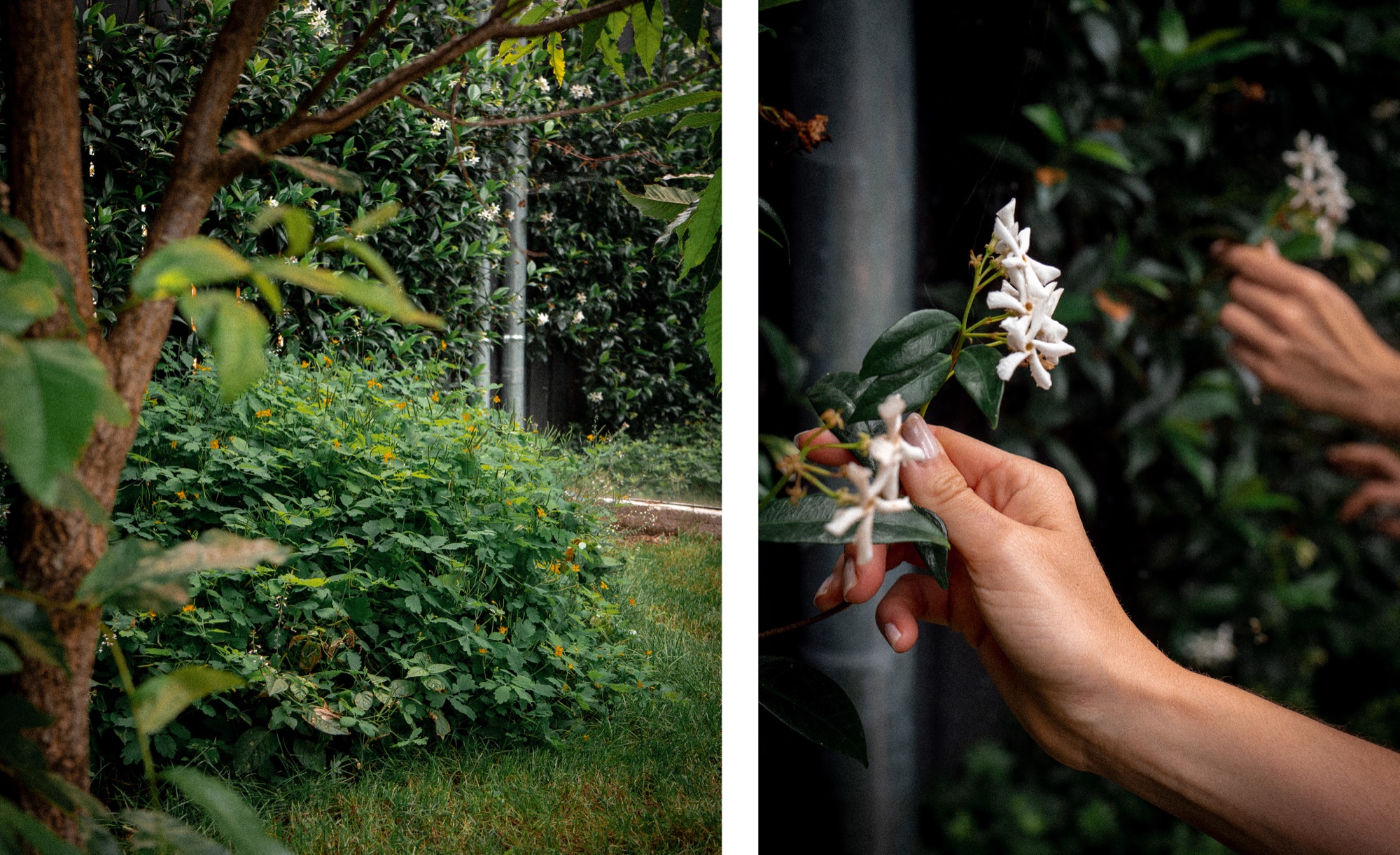 06_Jardin-infini-à-chatillon-Paysagiste-Hermeline-Carpentier-©photo-Anthony-Marques