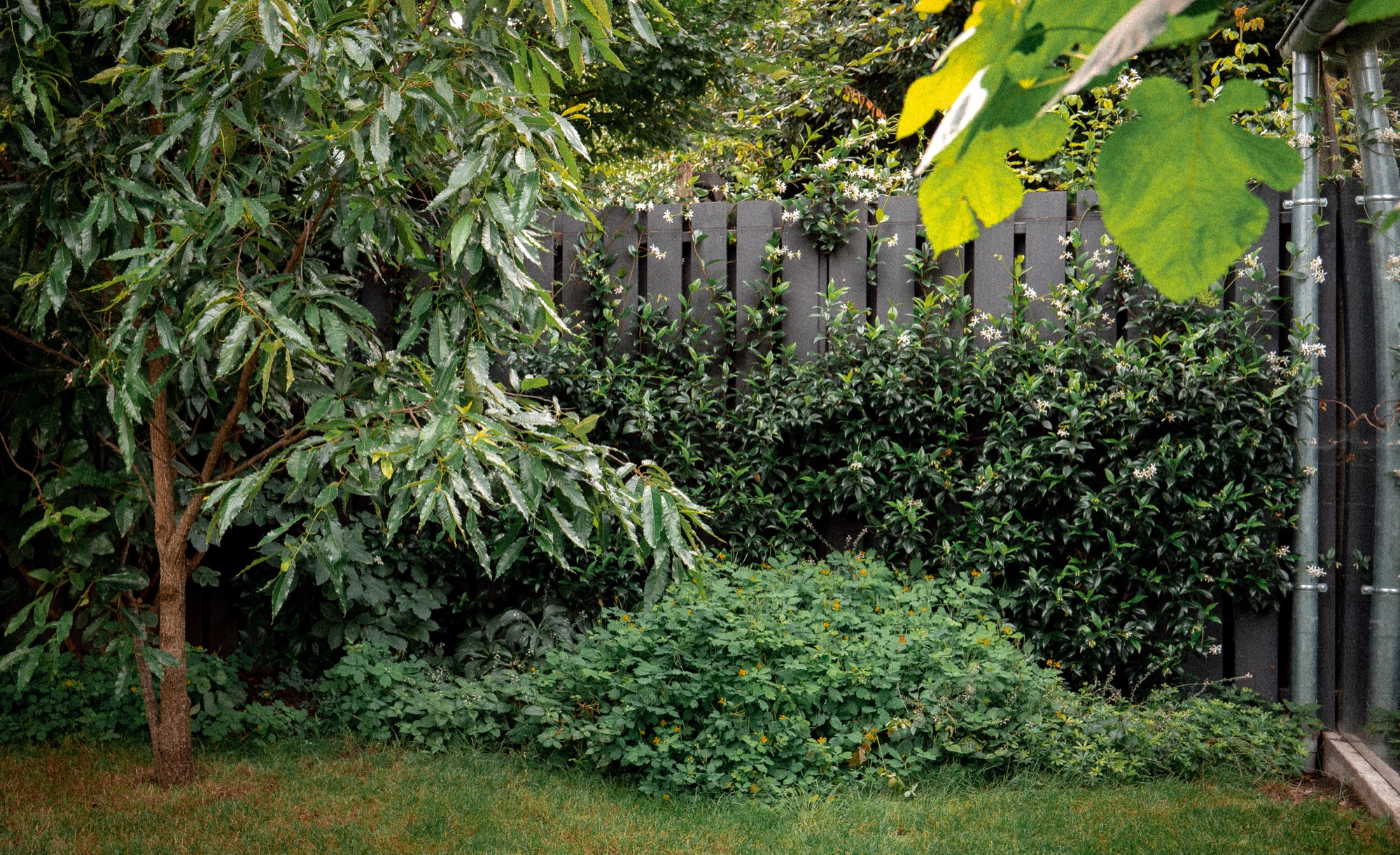 07_Jardin-infini-à-chatillon-Paysagiste-Hermeline-Carpentier-©photo-Anthony-Marques