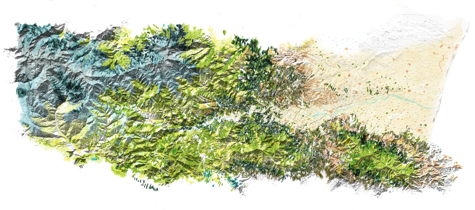 etude foret carte végétation topographie vallee du tech®HermelineCarpentier